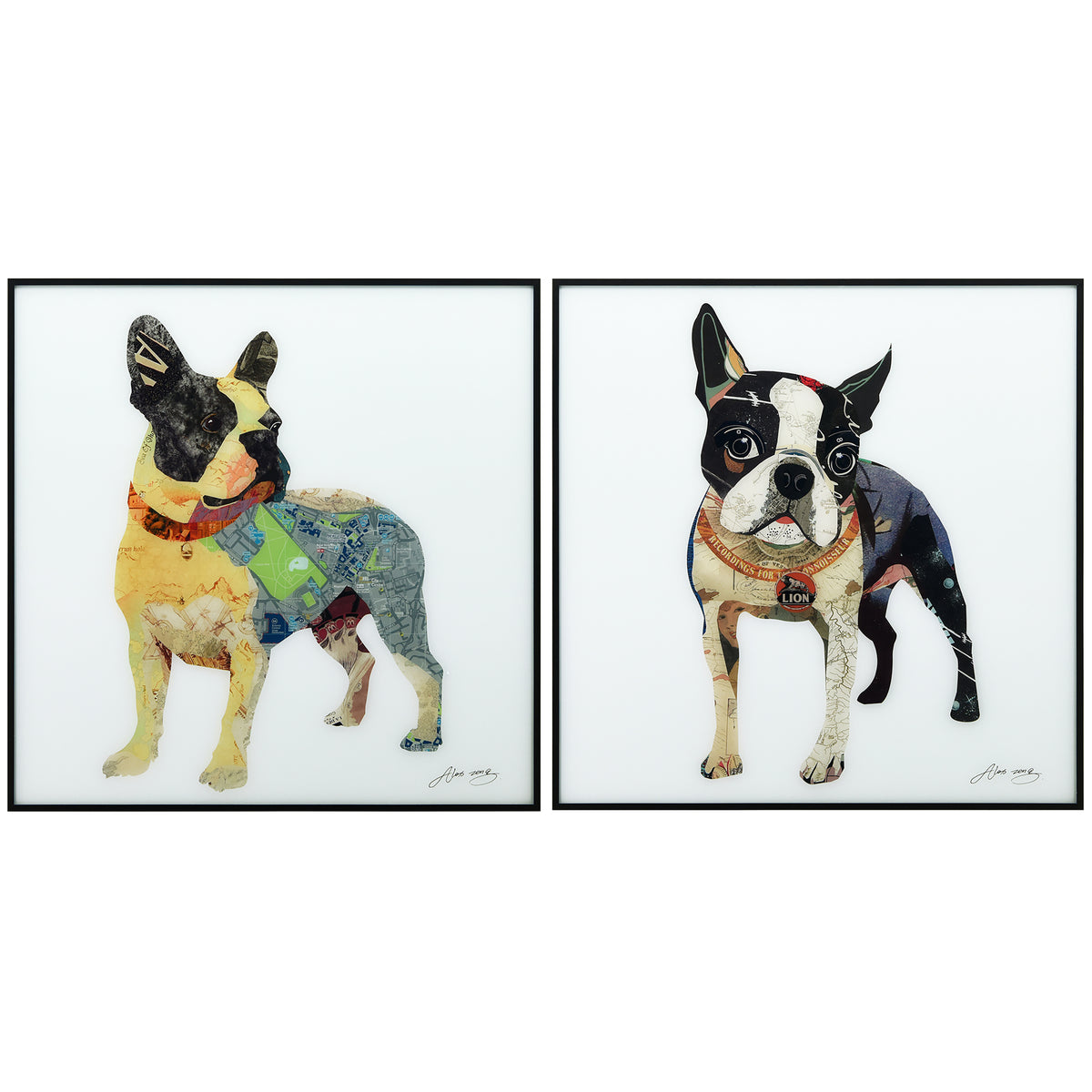 Boston Terrier 1 & 2