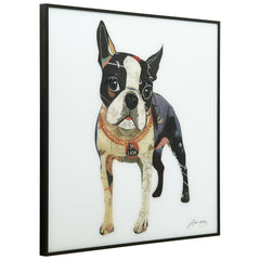 Boston Terrier 2