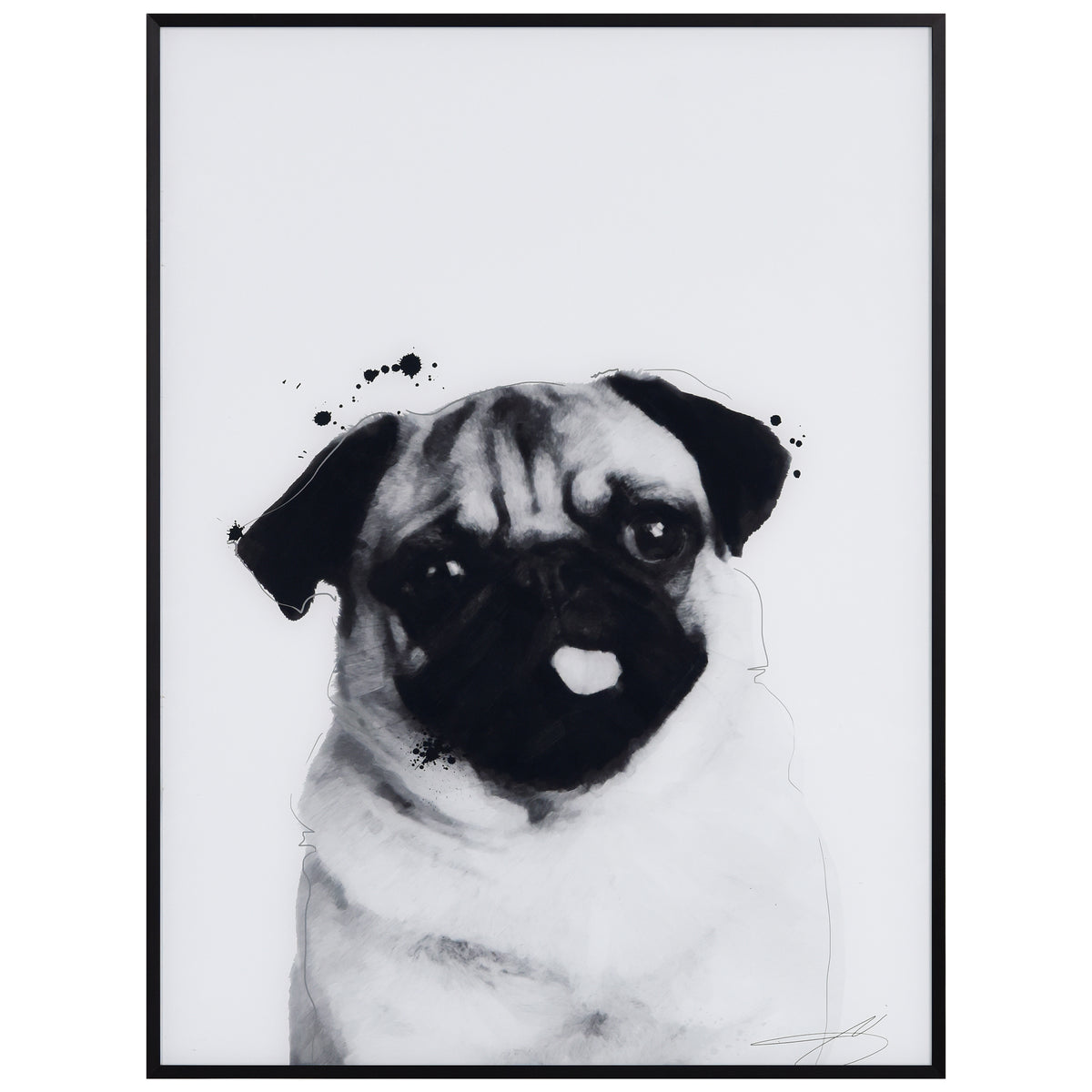 Pug