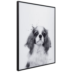 King Charles Spaniel