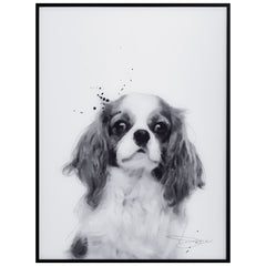 King Charles Spaniel