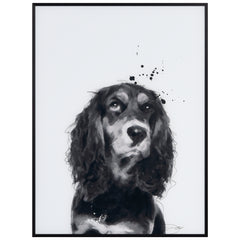 Cocker Spaniel