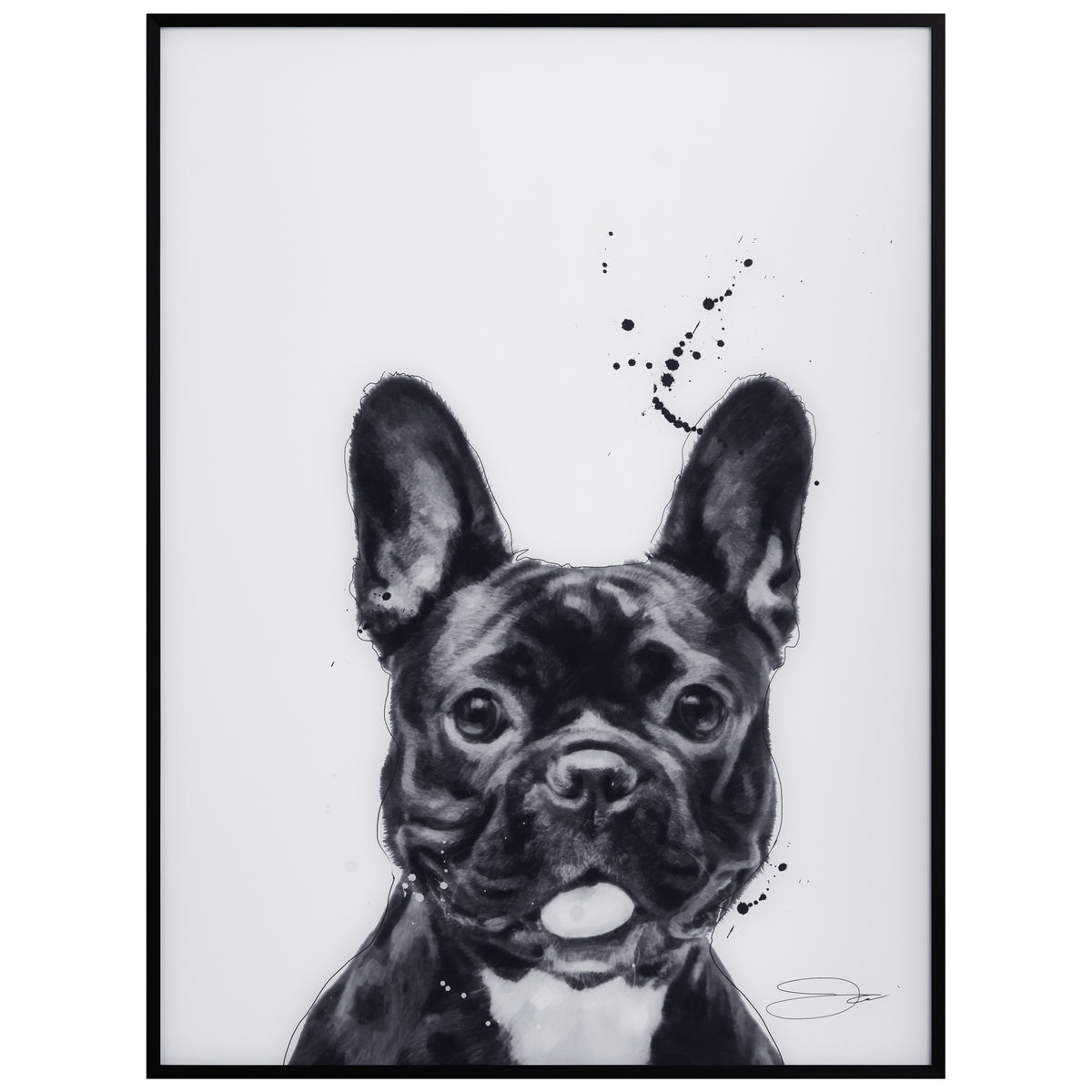 French Bulldog