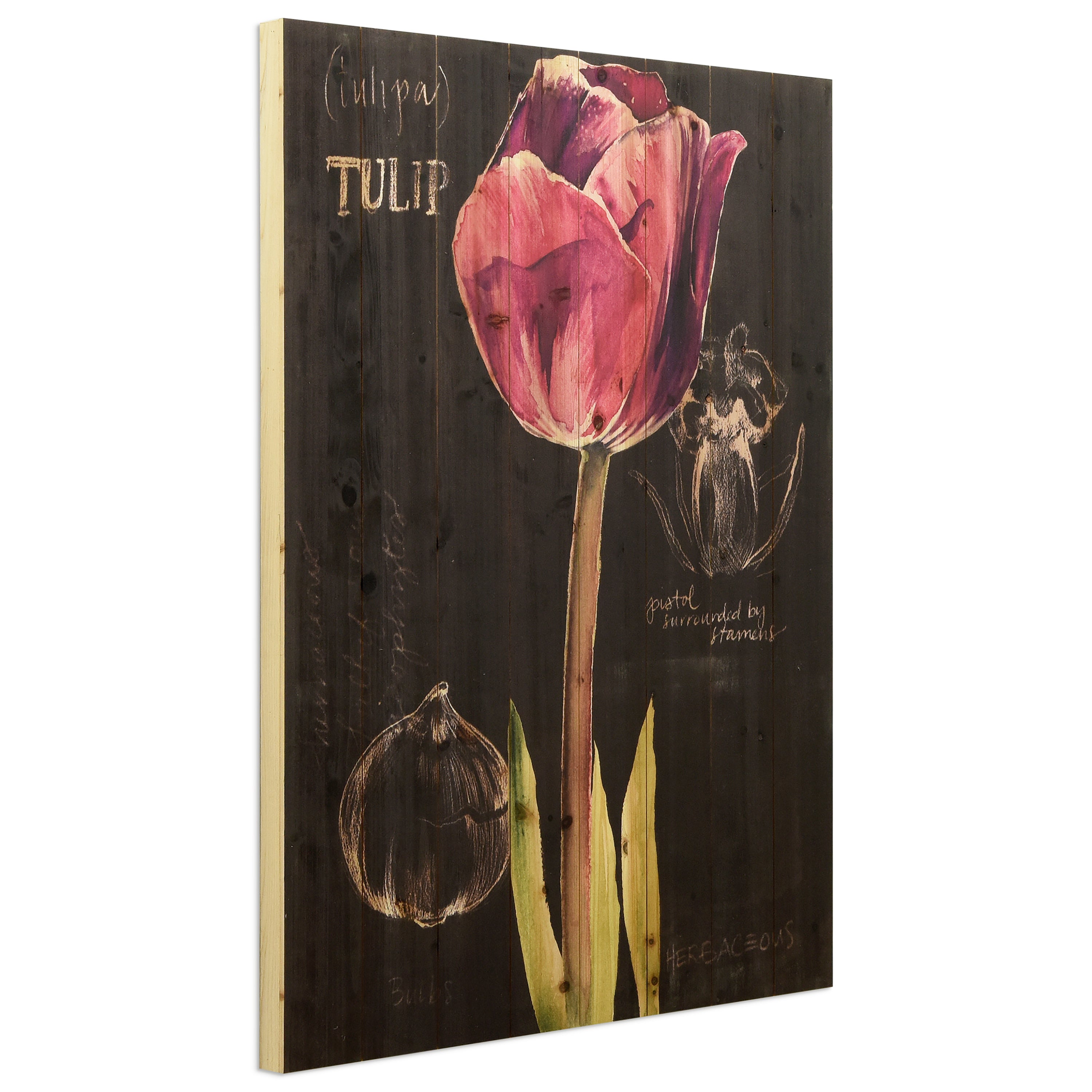 Chalkboard Flower IV - Discontinued, while supplies last