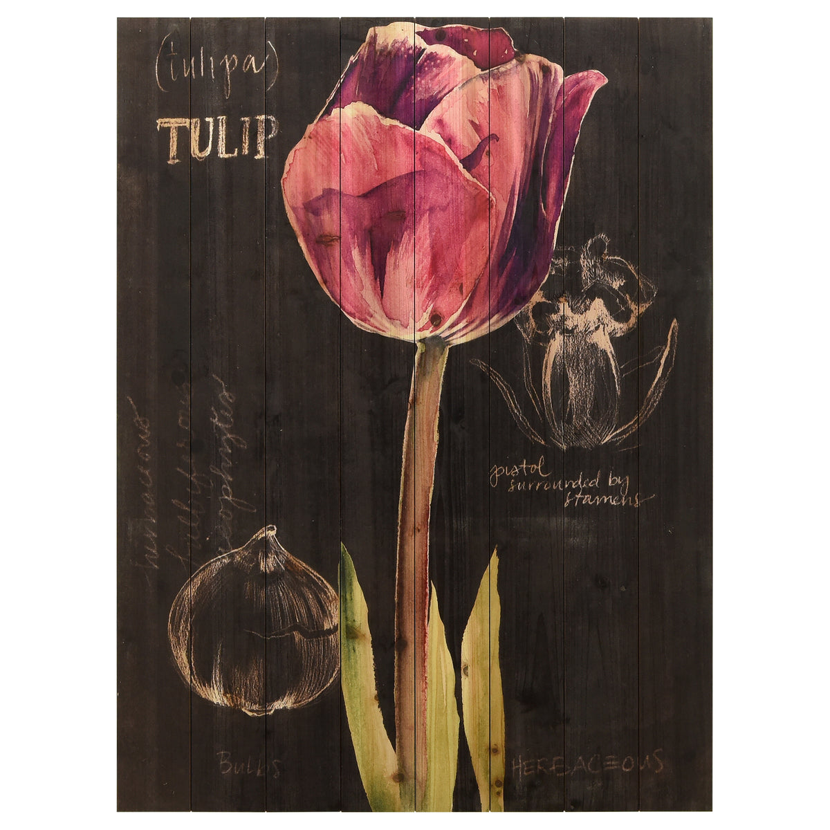 Chalkboard Flower IV - Discontinued, while supplies last