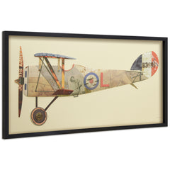 Antique Biplane #1