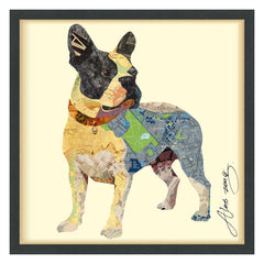 Boston Terrier 1