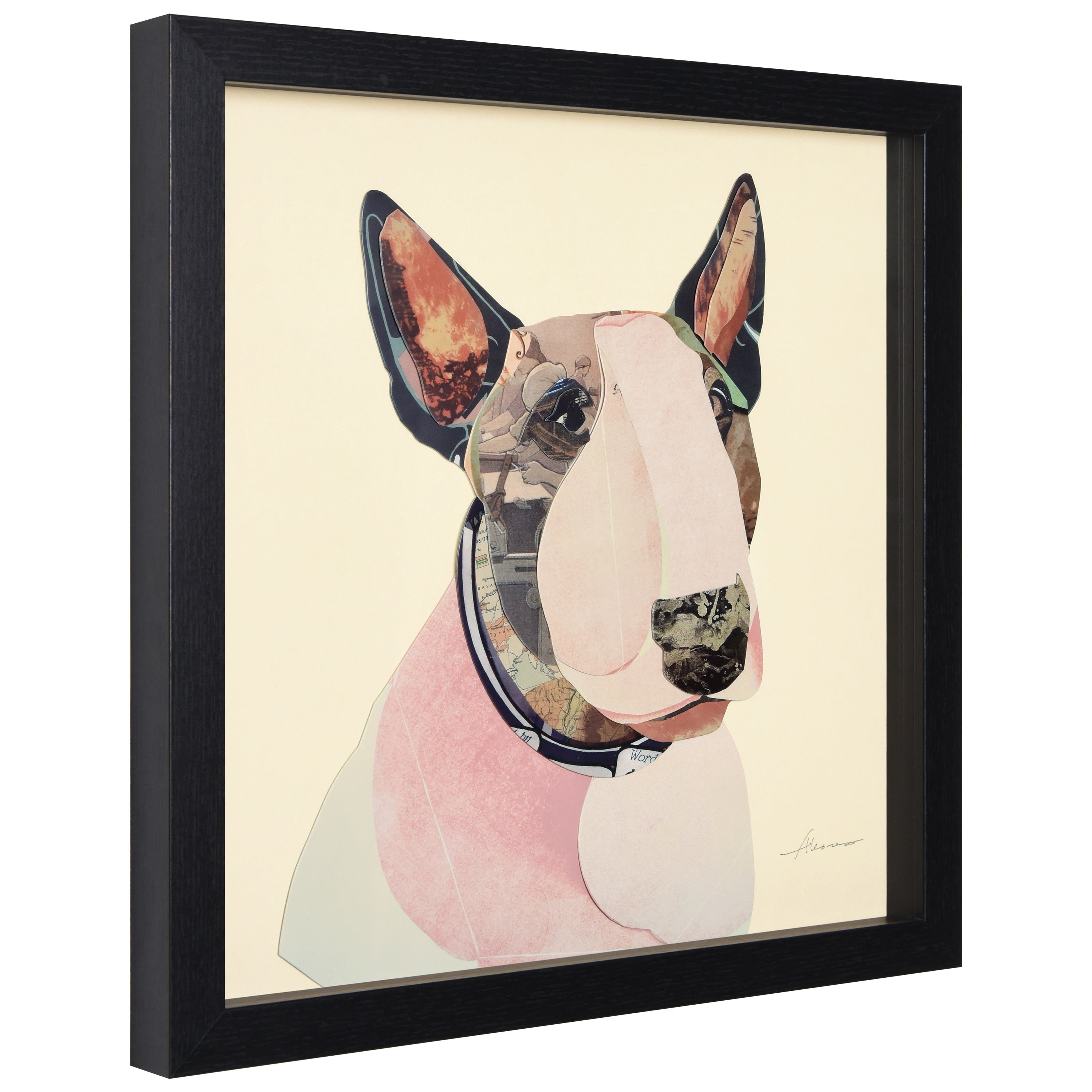 American Bull Terrier