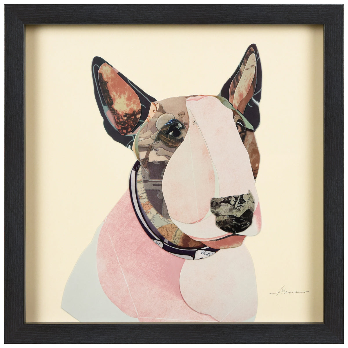 American Bull Terrier