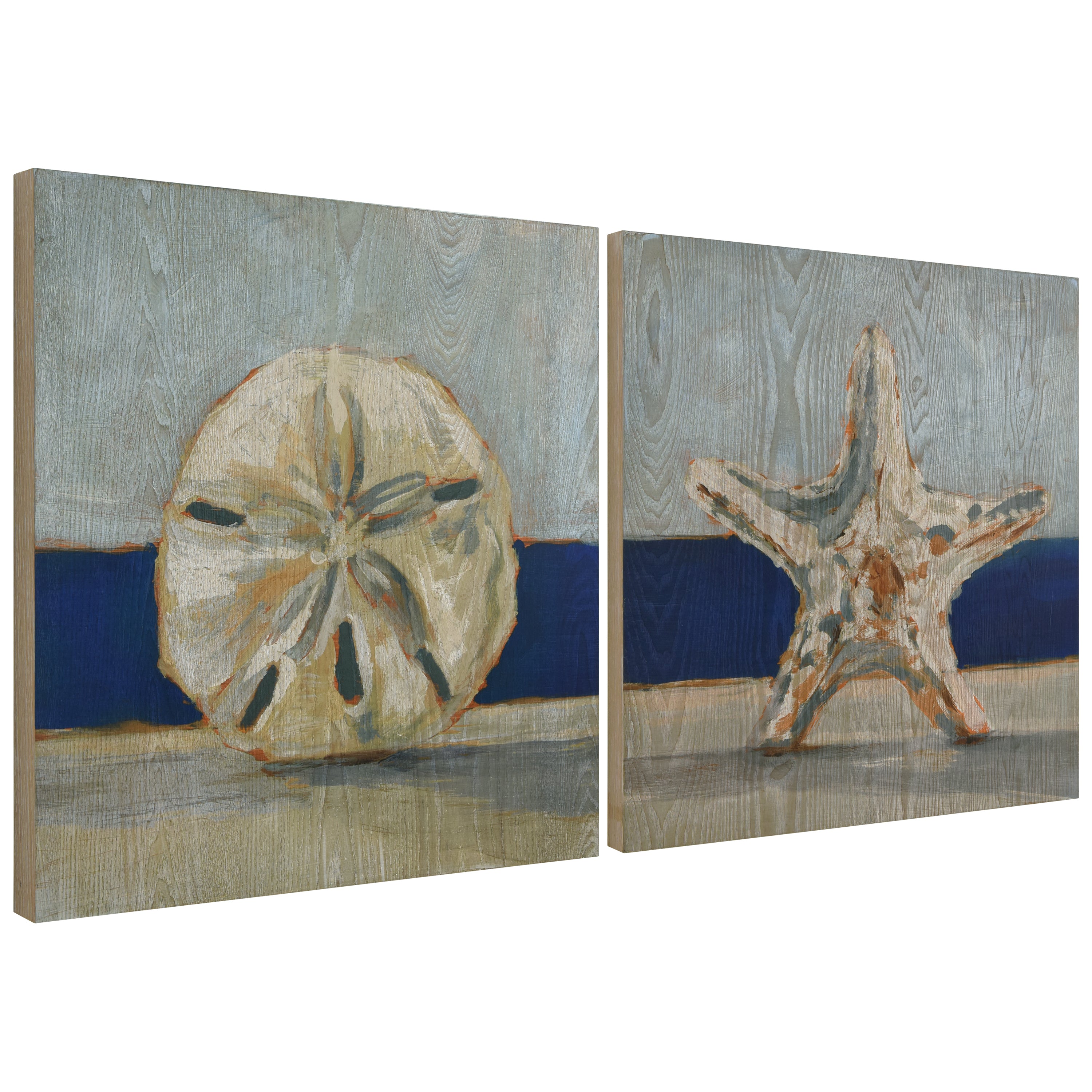 Sand Dollar & Starfish by the Sea