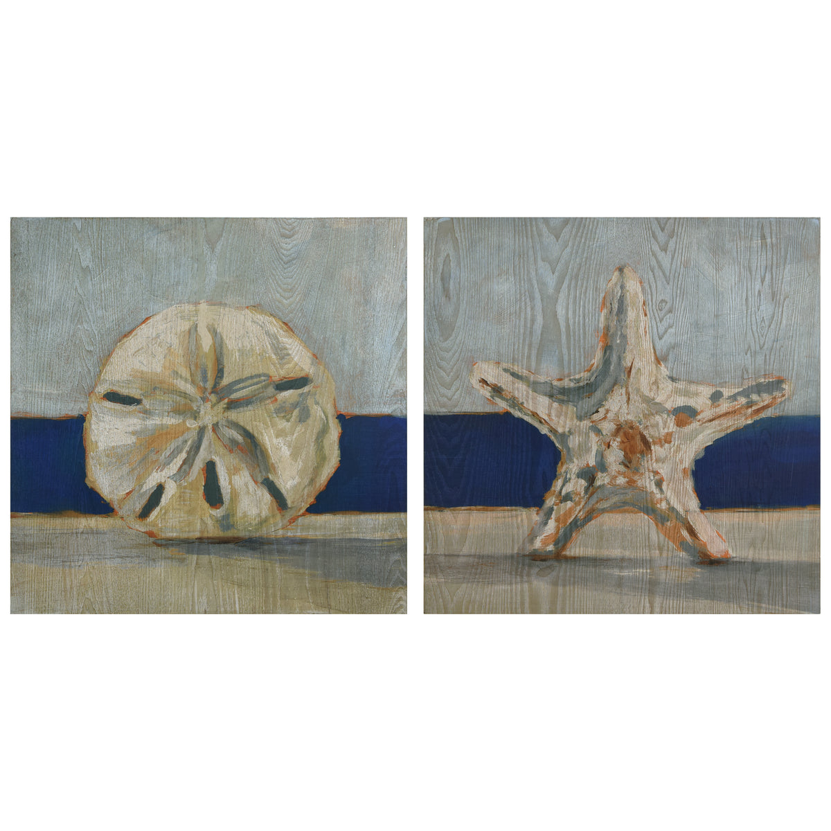 Sand Dollar & Starfish by the Sea