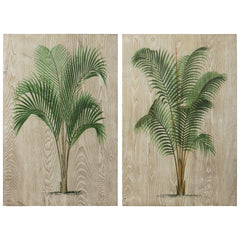 Coastal Palm I & II