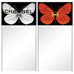 CC and Designer Butterfly