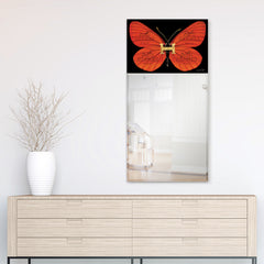 Designer Butterfly