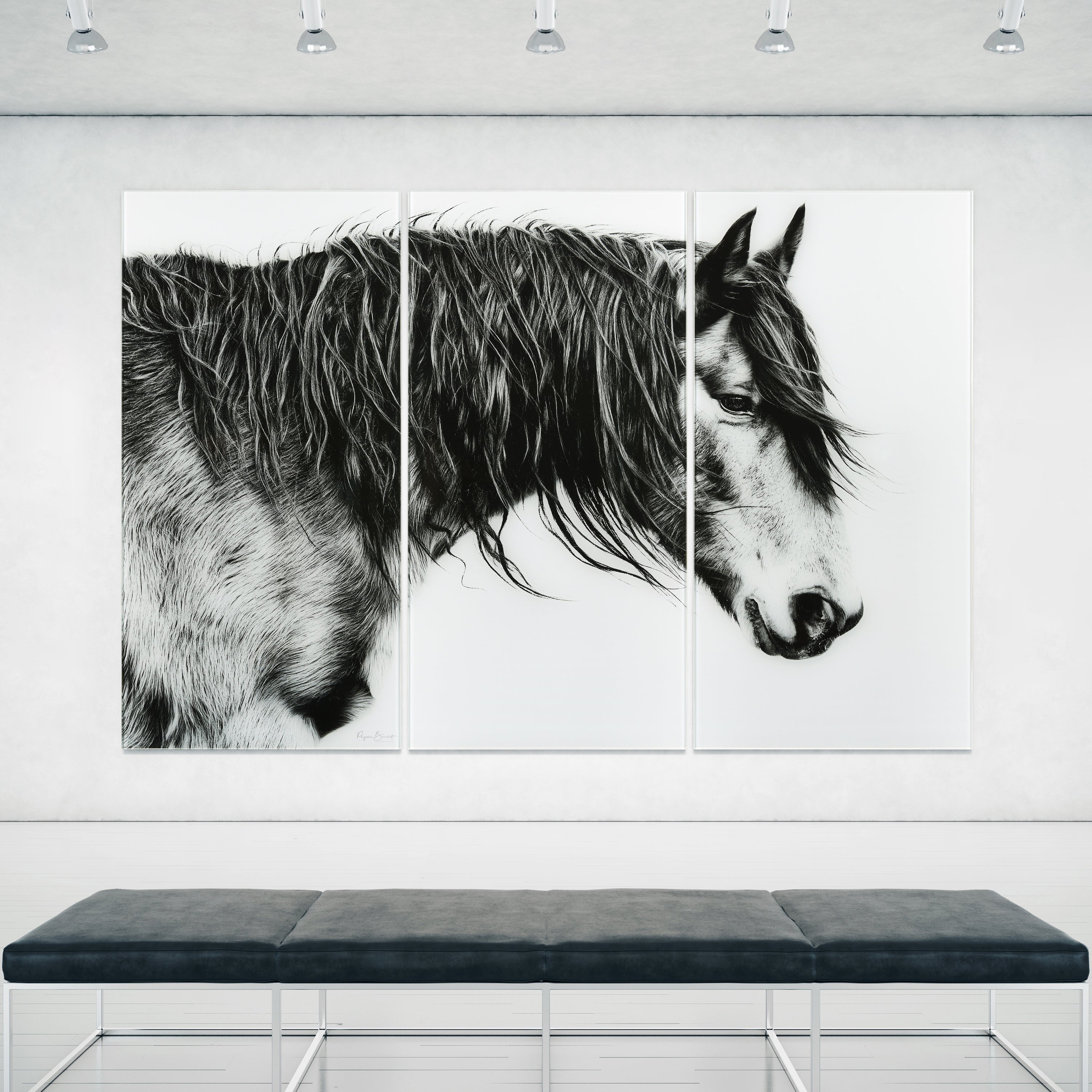 Black and White Horse Portrait III ABC