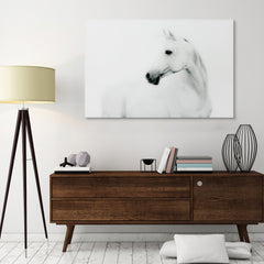 Blanco Stallion Horse