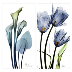 Calla Lily and Three Blue Tulips