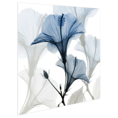 Blue Xray Floral