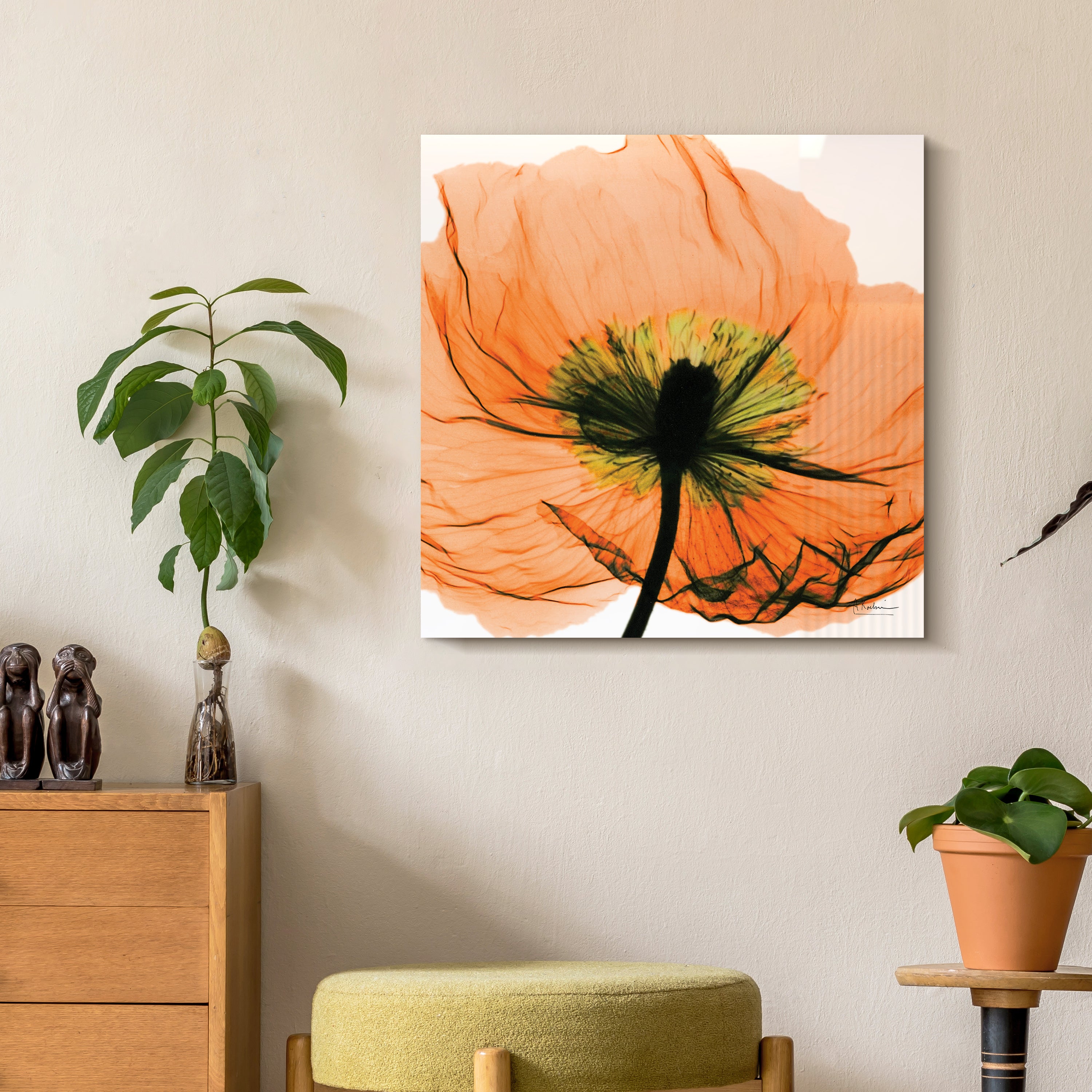 Poppy Orange