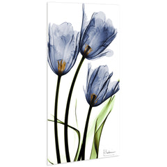 Three Blue Tulips