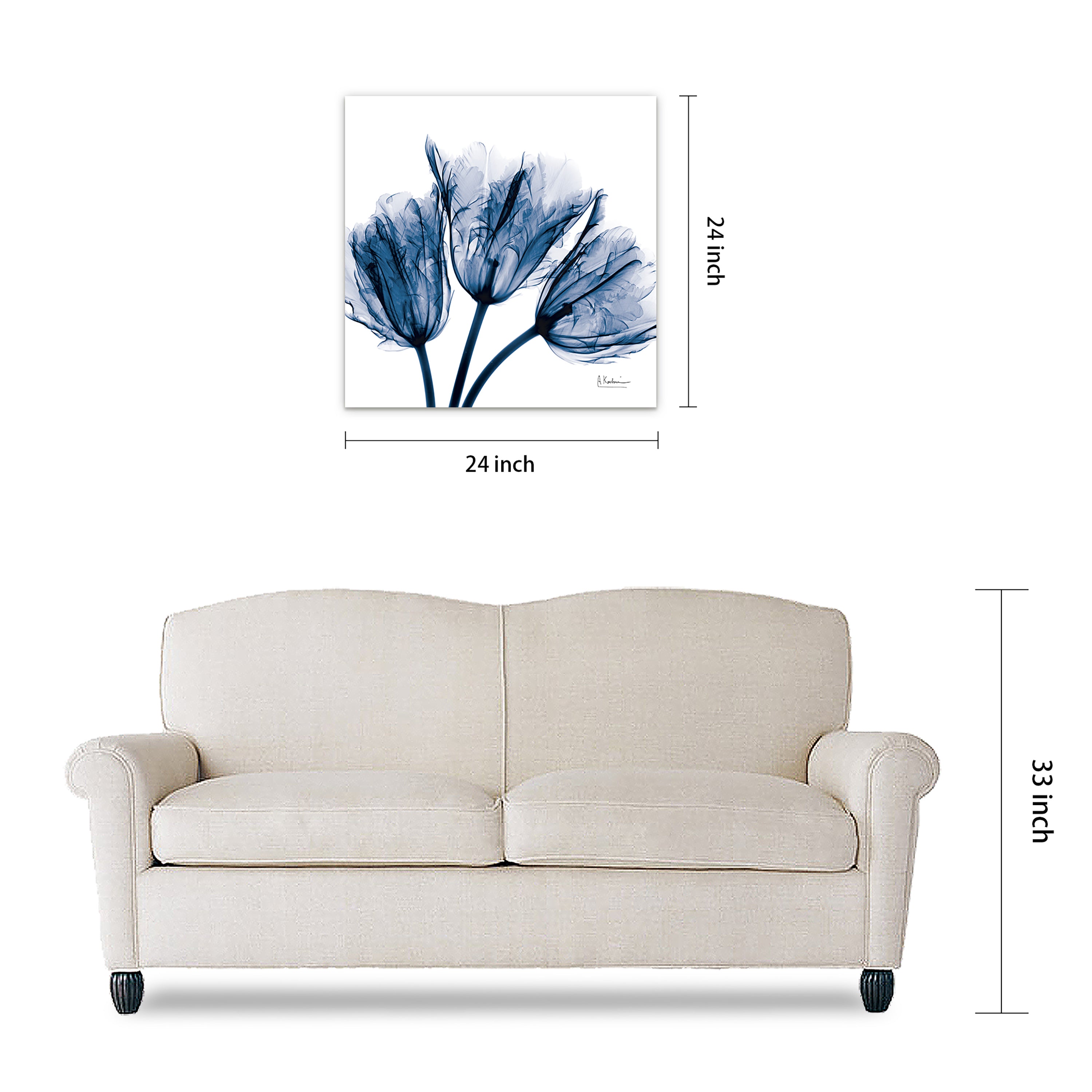 Blue Tulip x-ray