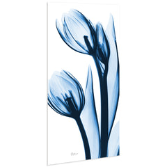 Two Blue Tulips