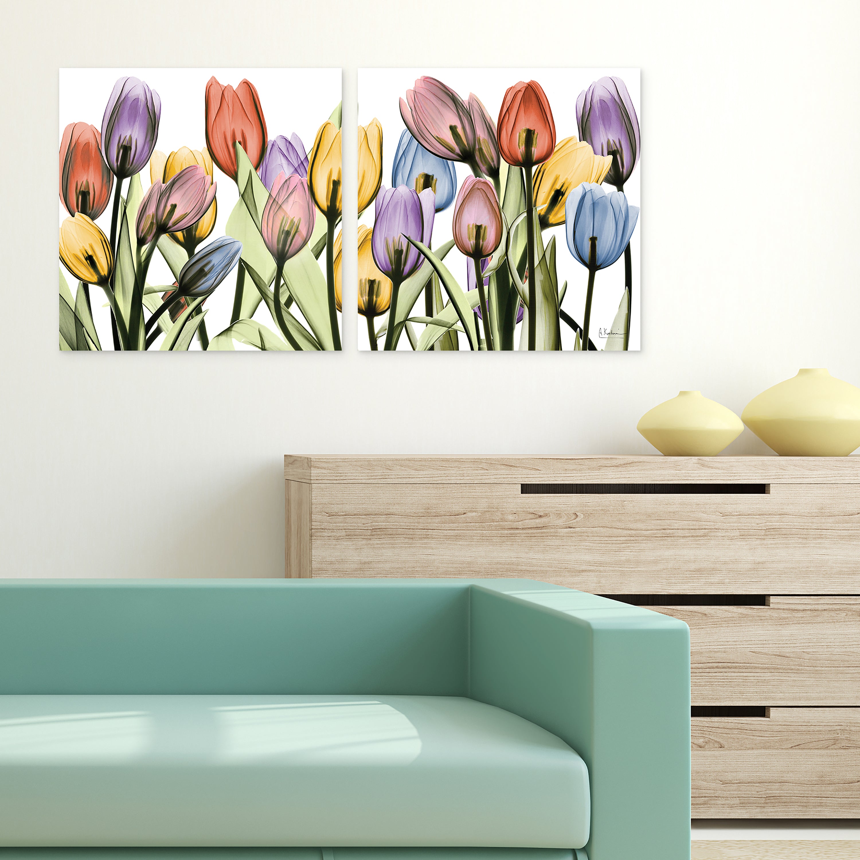 Tulip Scape x-ray I & II