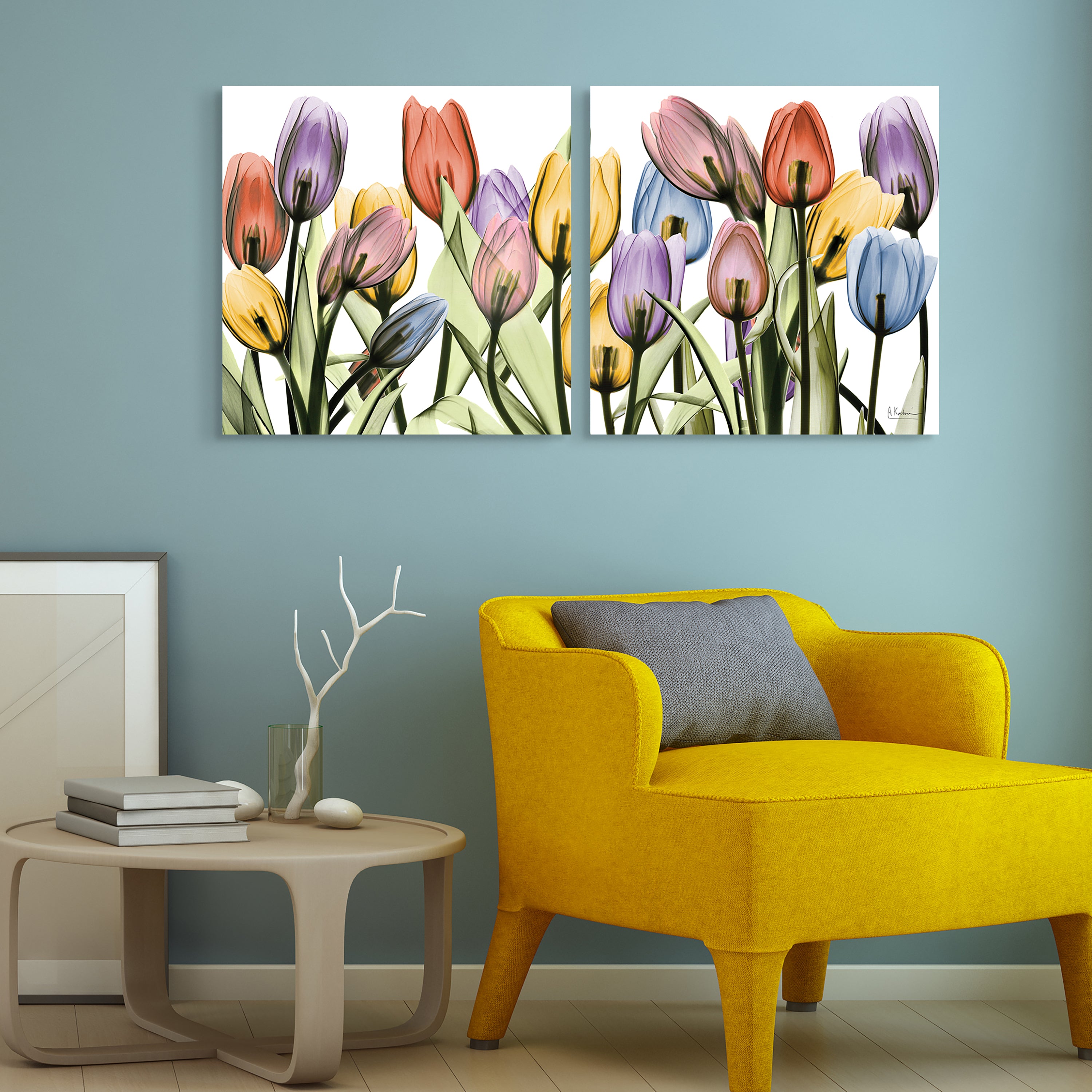 Tulip Scape x-ray I & II