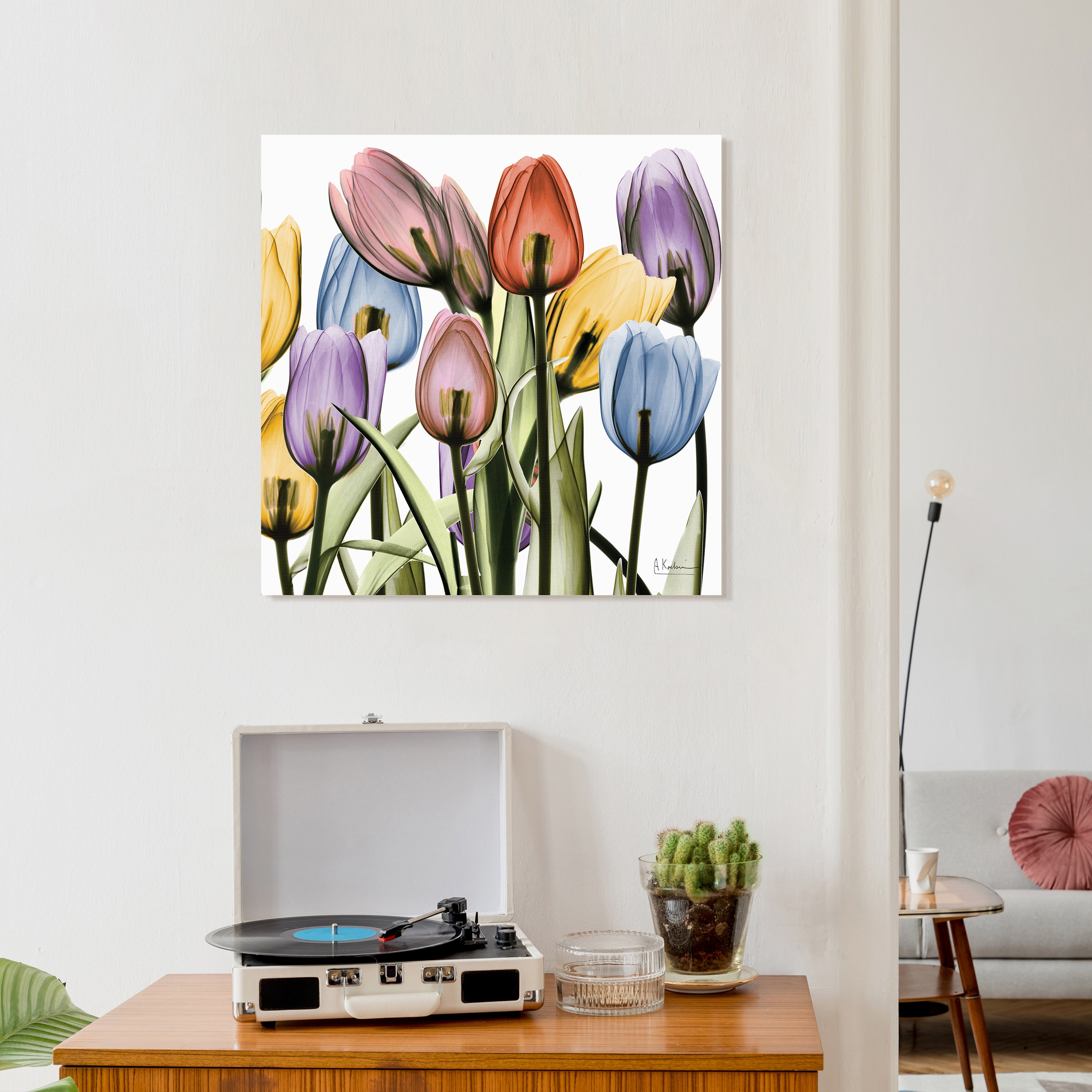 Tulip Scape x-ray II