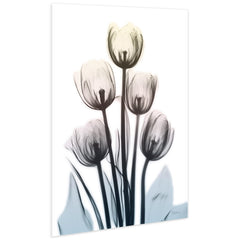 Springing Tulips