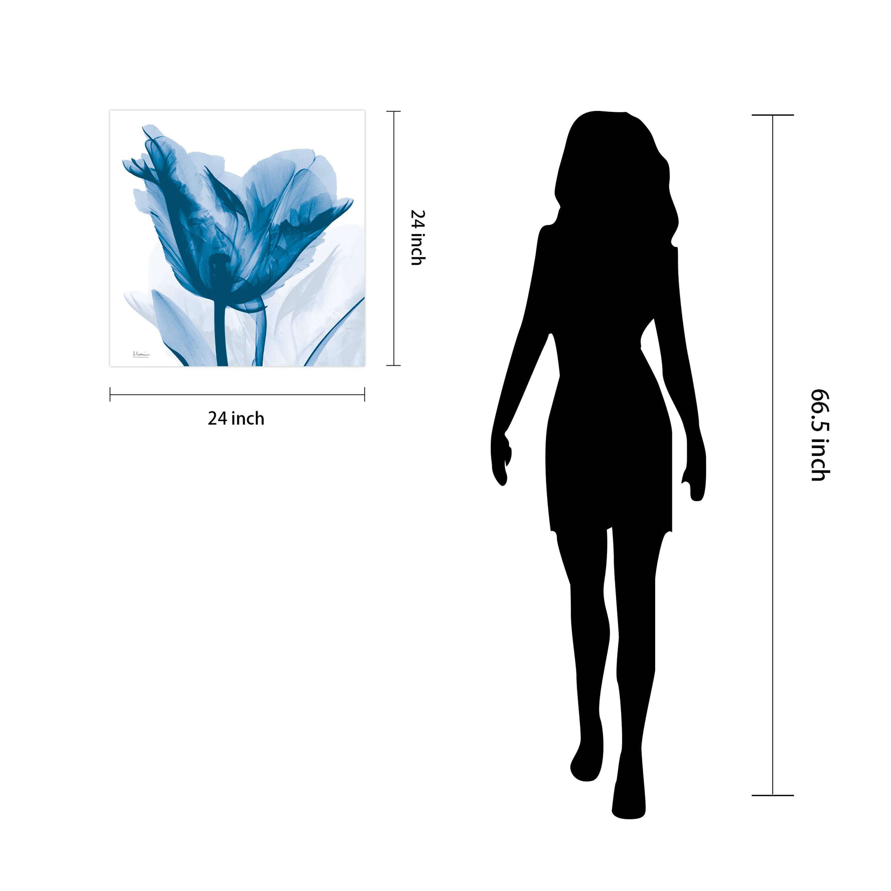 Lusty Blue Tulip