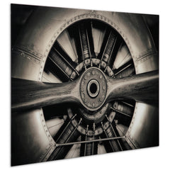 Plane Propeller