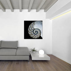 Pearly Nautilus - Discontinued, while supplies last.