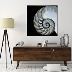 Pearly Nautilus - Discontinued, while supplies last.