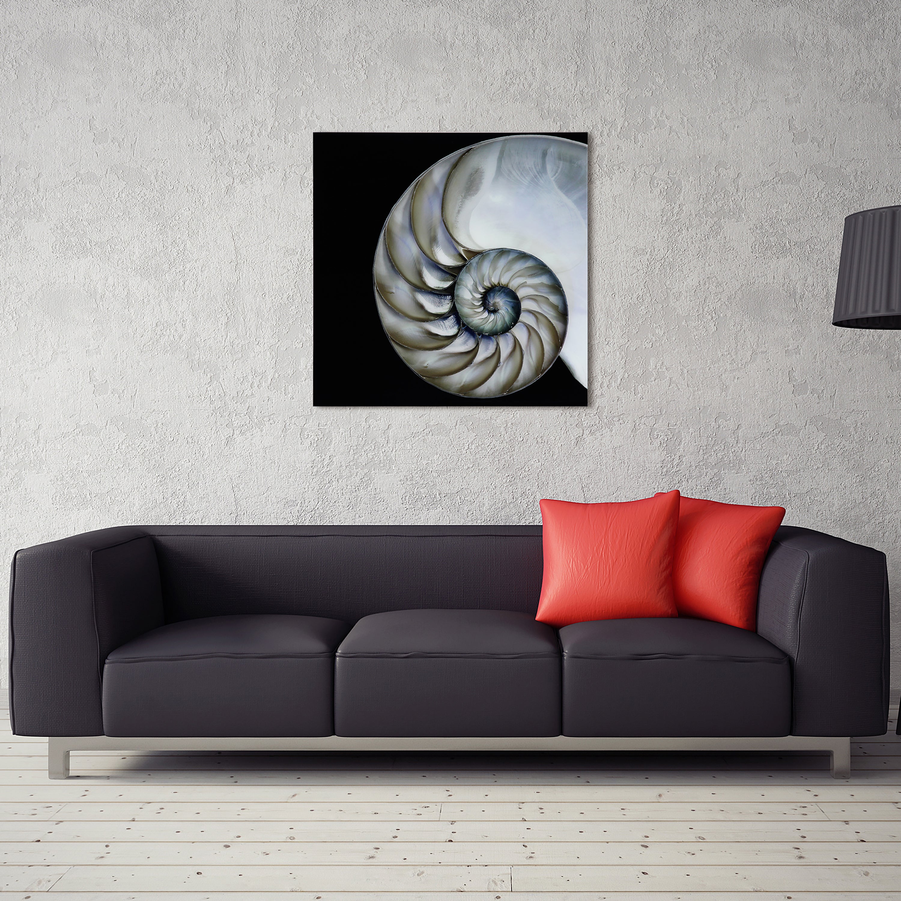 Pearly Nautilus - Discontinued, while supplies last.