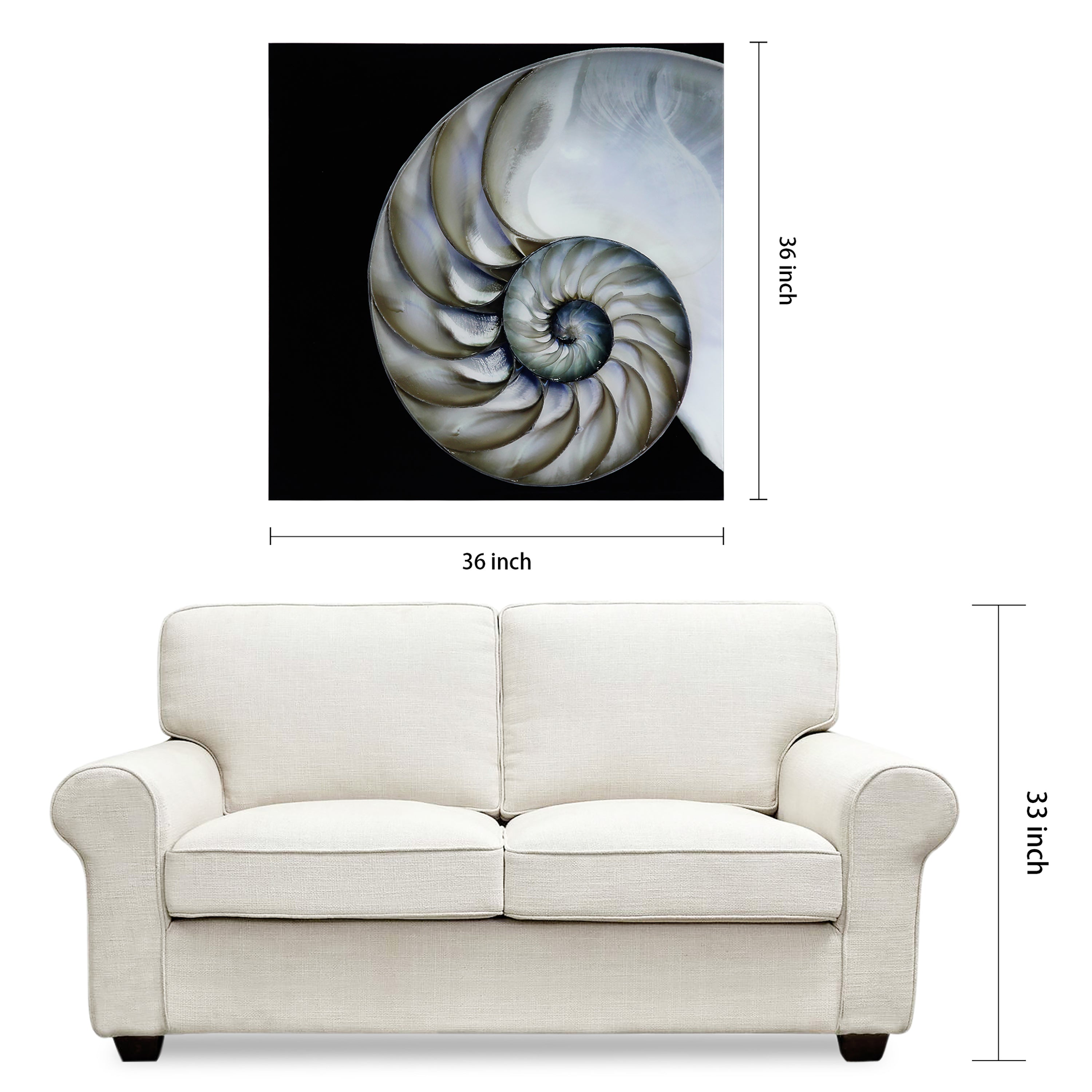 Pearly Nautilus - Discontinued, while supplies last.