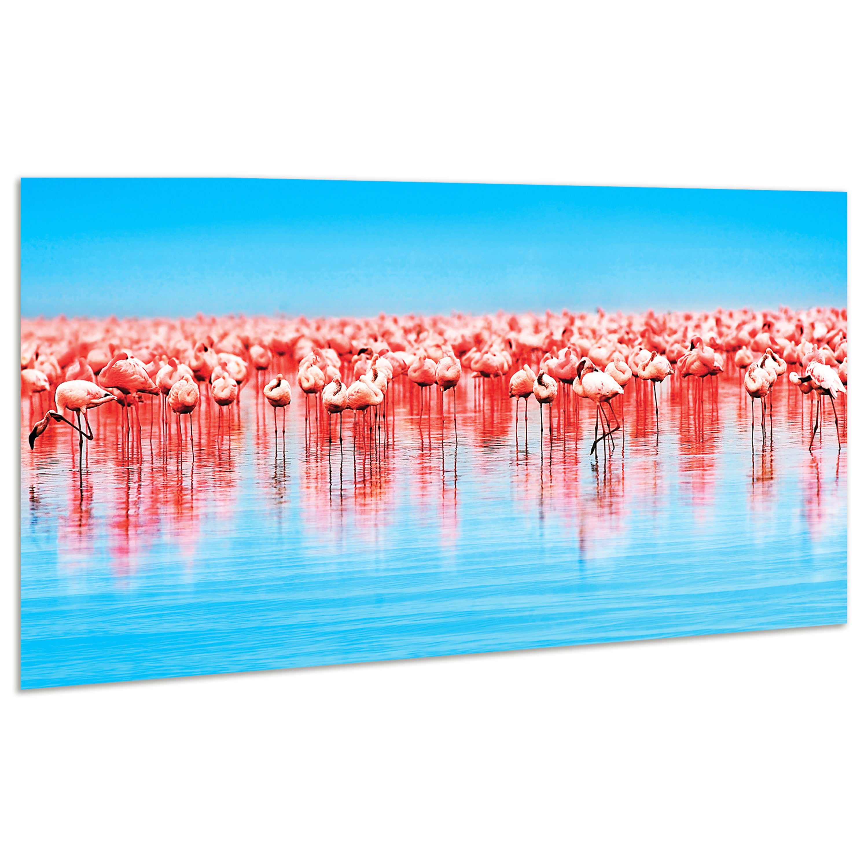 Flamingo Flock