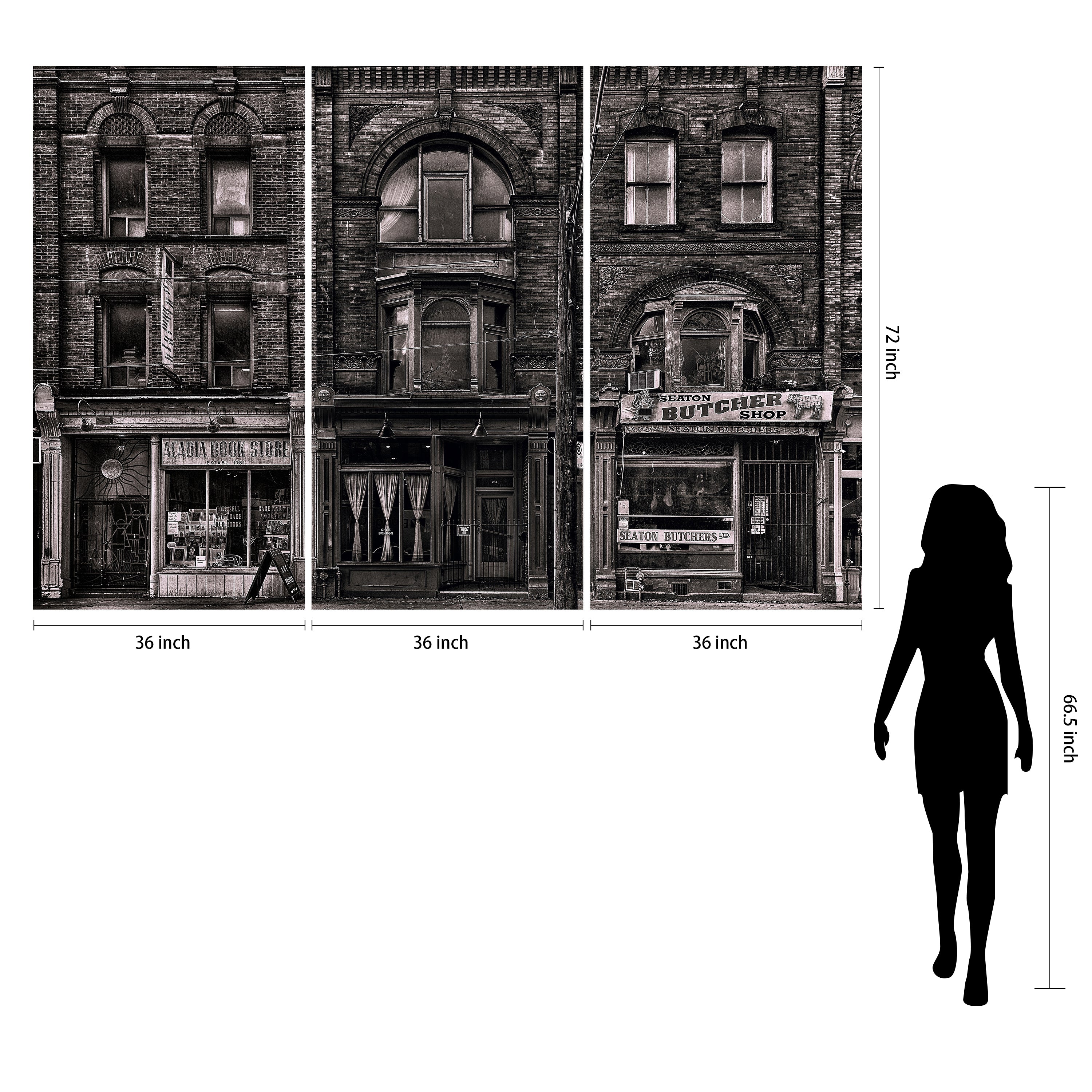 "Historic Brownstone Trio" Buildings Frameless Free Floating Reverse Printed Tempered Art Glass Wall Art